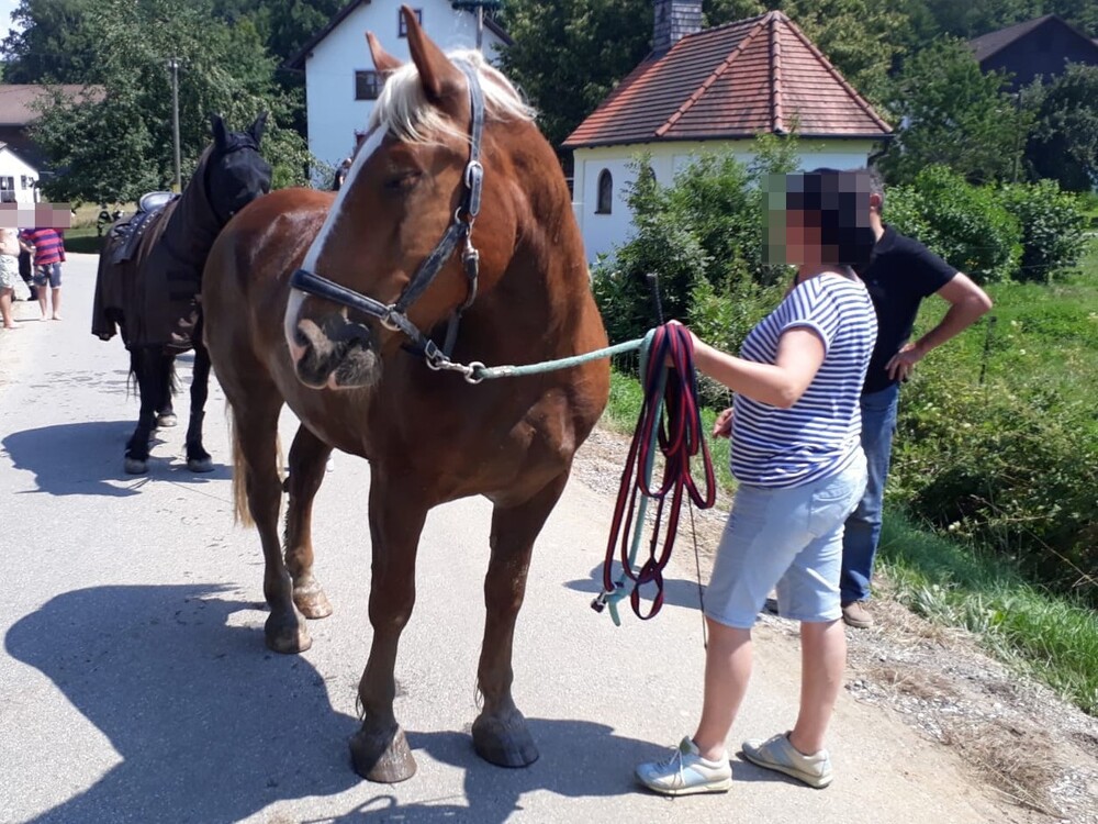 © Feuerwehr Landhut
