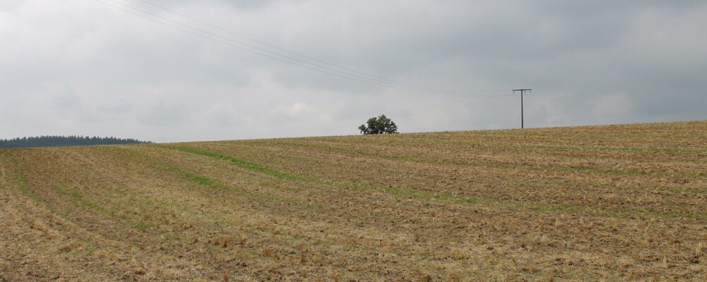 landwirtschaft