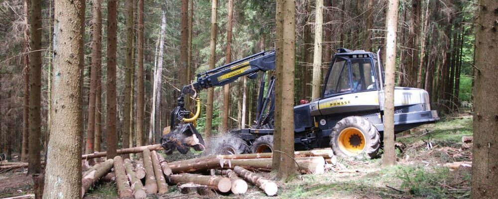 landwirtschaft