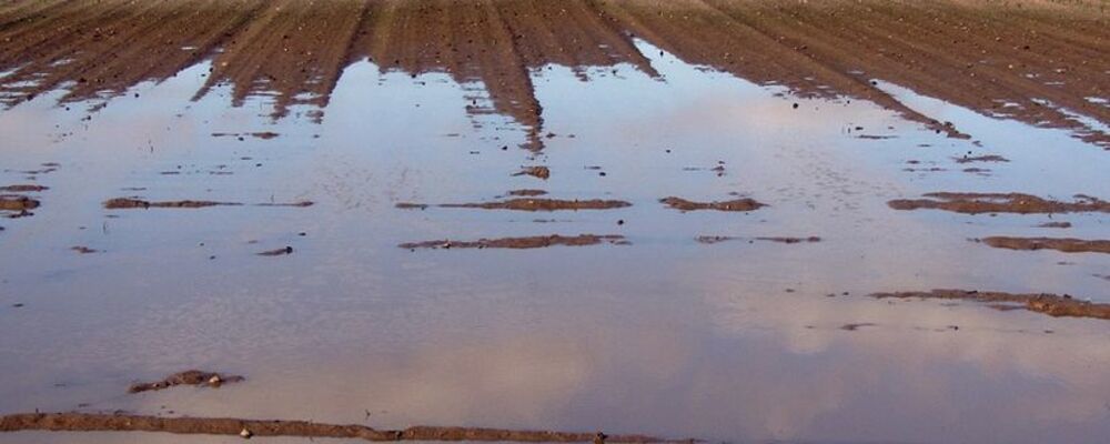hochwasser