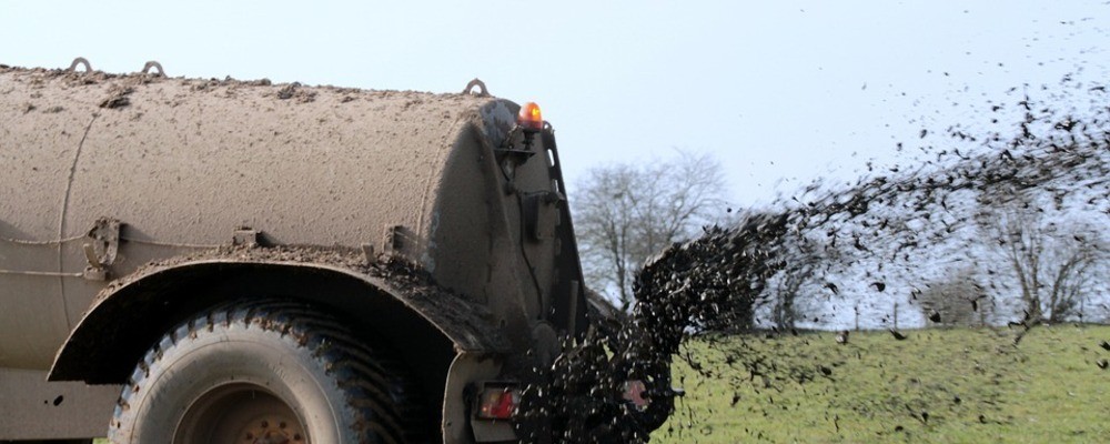 landwirtschaft