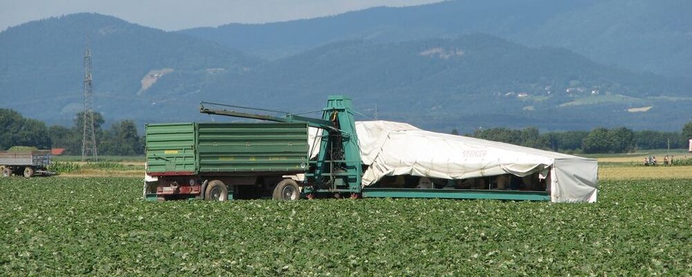 landwirtschaft