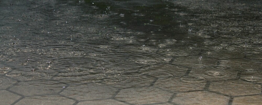 wetter