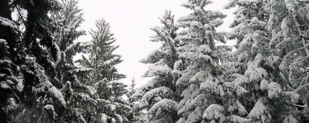 winter