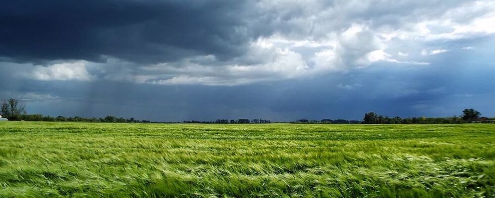 wetter