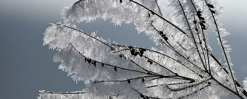 winter