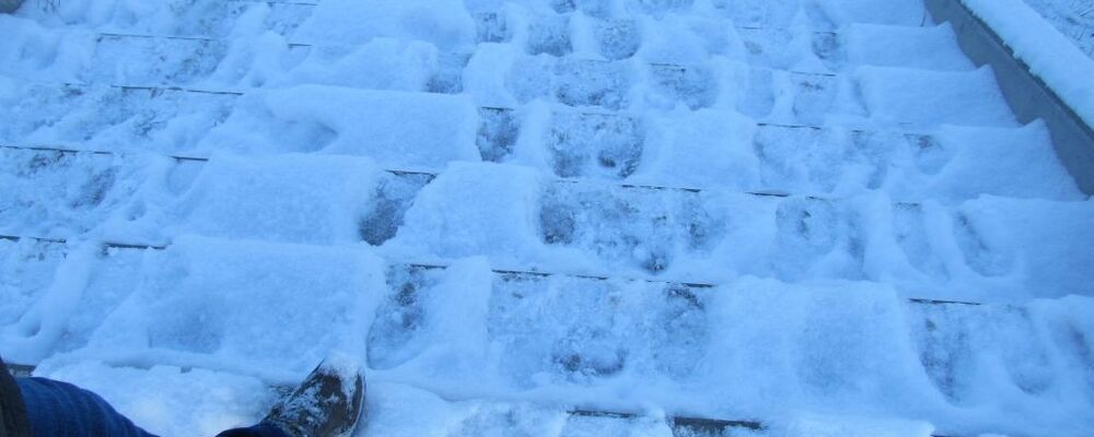 winter