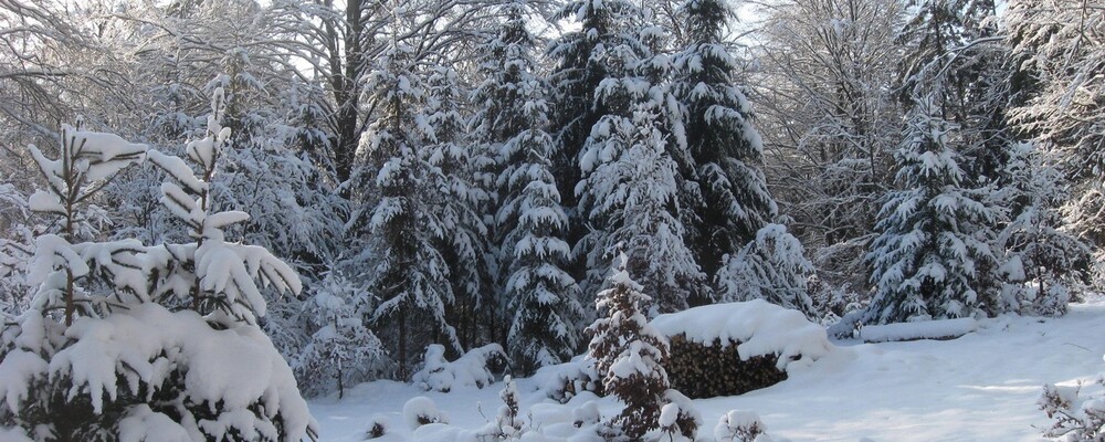 winter