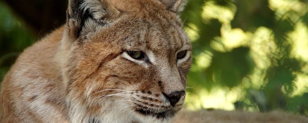 Er sucht sie rottal inn