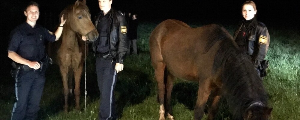 © Polizei