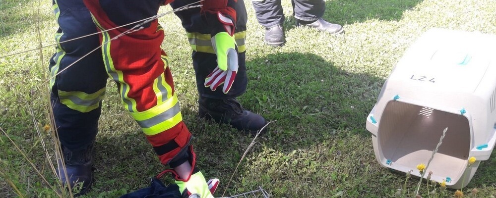 © Feuerwehr Landshut