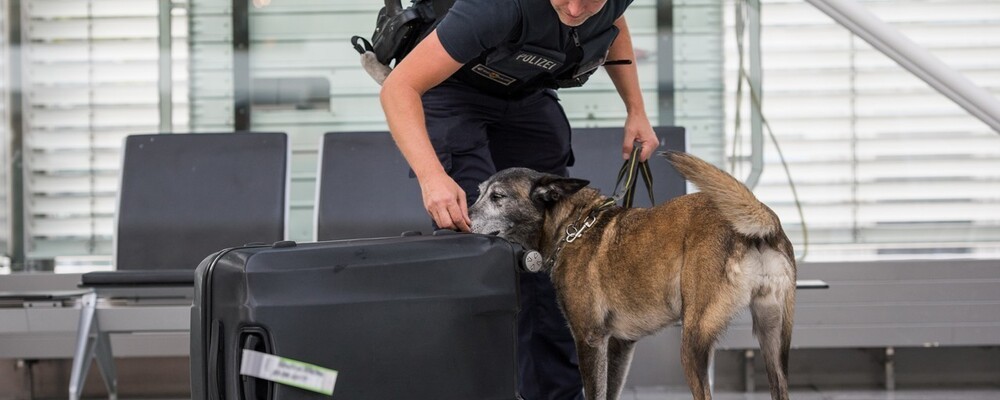 © Bundespolizei