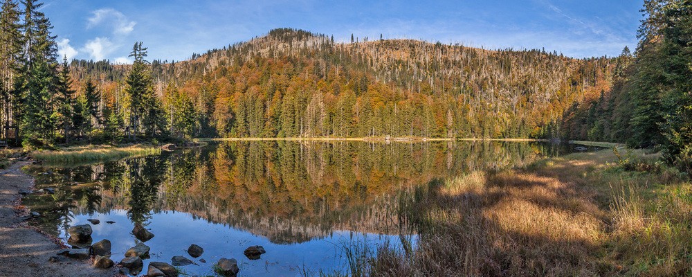 © Nationalparkverwaltung Bayerischer Wald