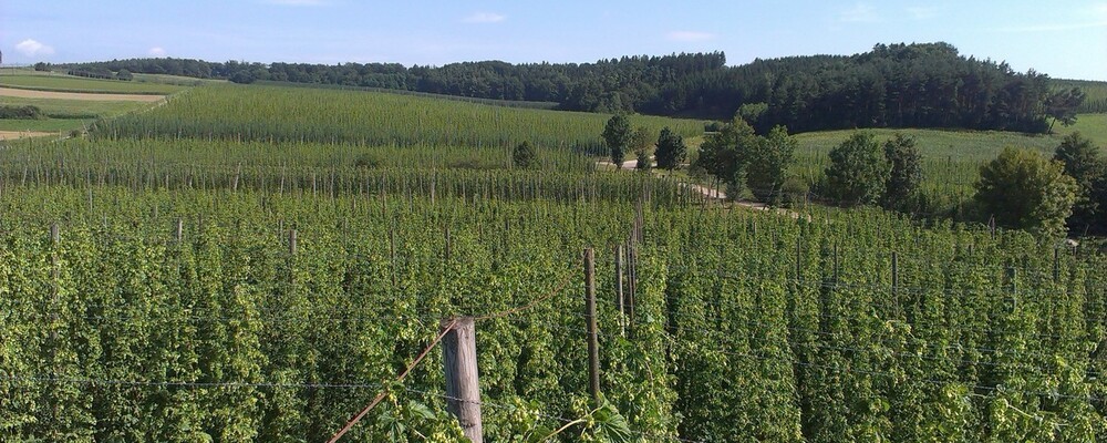 landwirtschaft, © Funkhaus Landshut