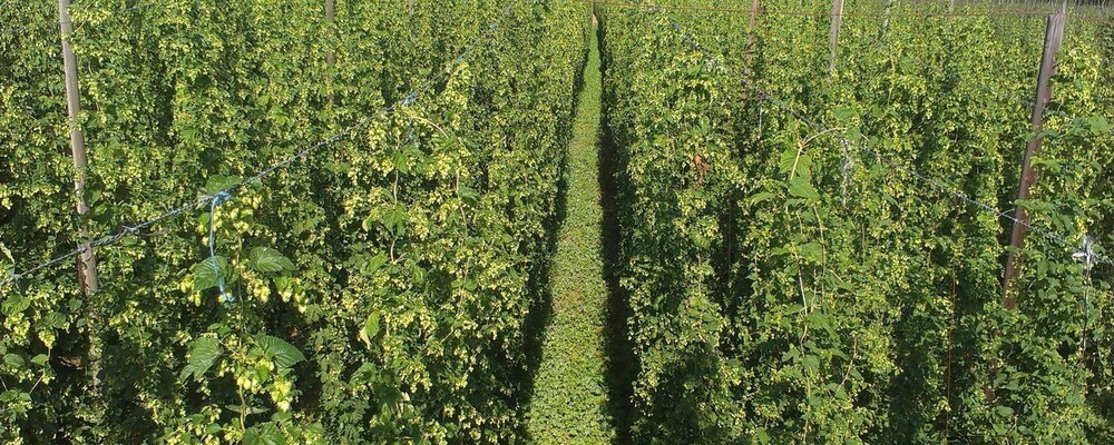 landwirtschaft, © Funkhaus Landshut