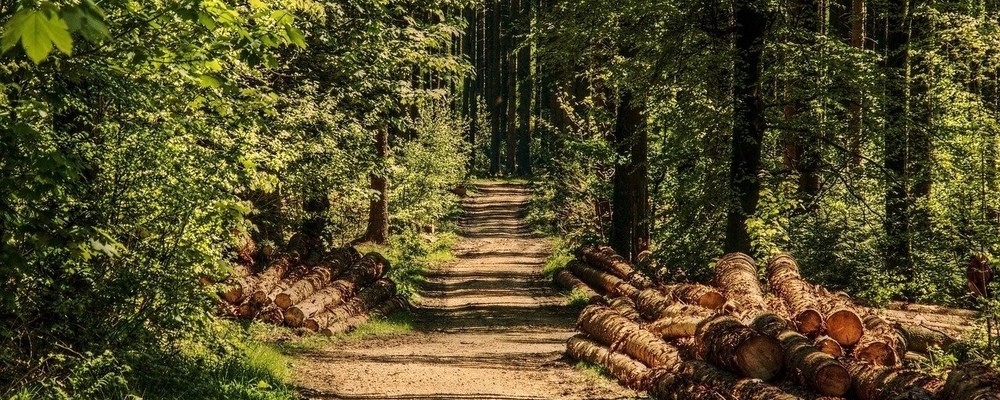 naturlich nackte frau in natur